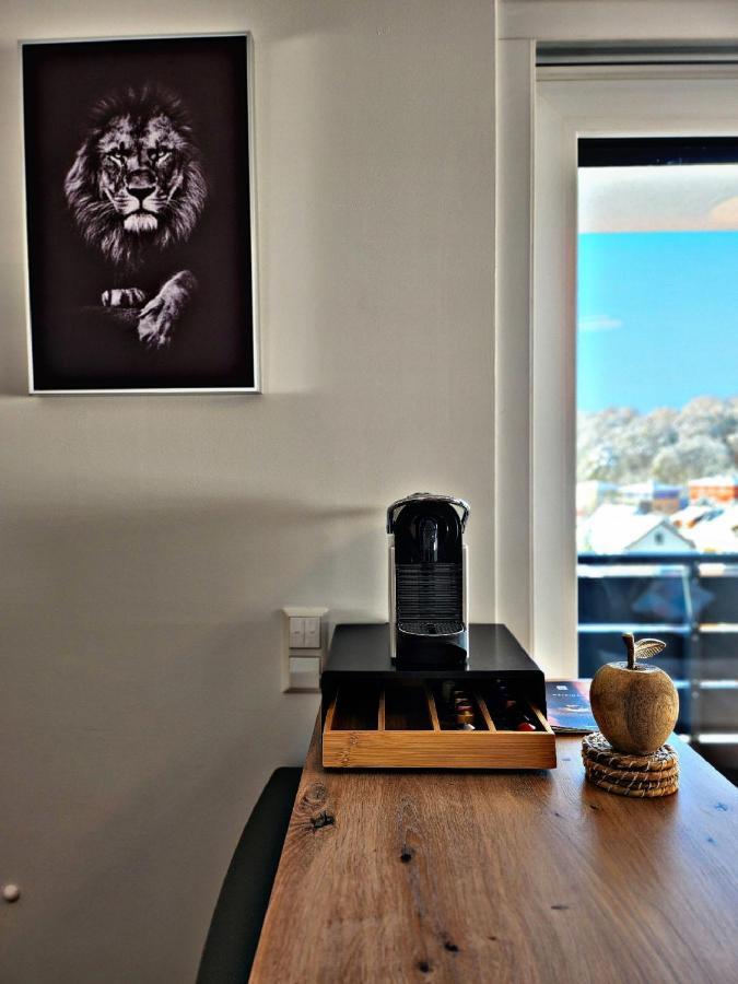 Lions Place Premium Apartments Executive Luxus Penthouse Inklusive Spa Heidenheim an der Brenz Exteriér fotografie