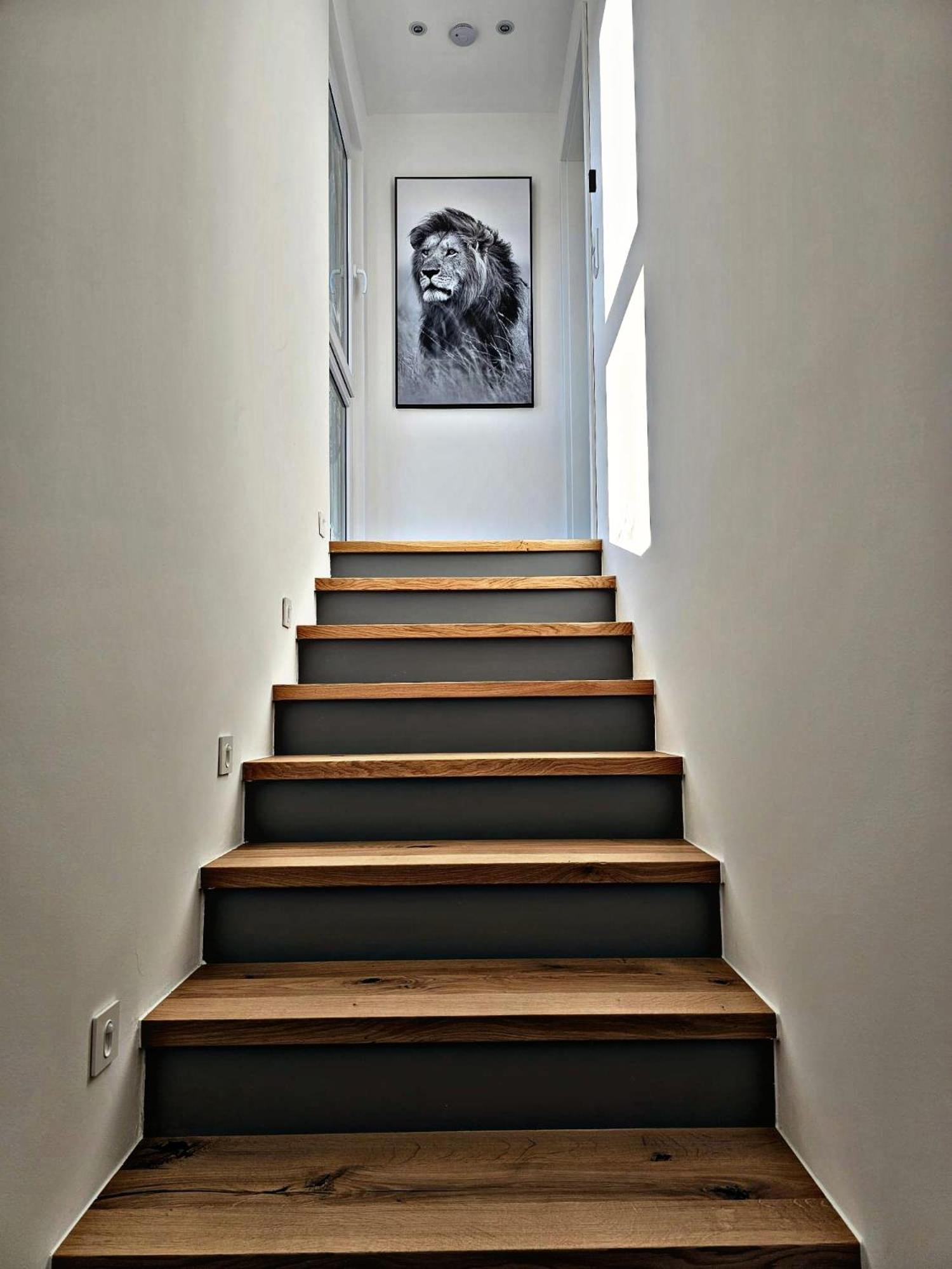 Lions Place Premium Apartments Executive Luxus Penthouse Inklusive Spa Heidenheim an der Brenz Exteriér fotografie