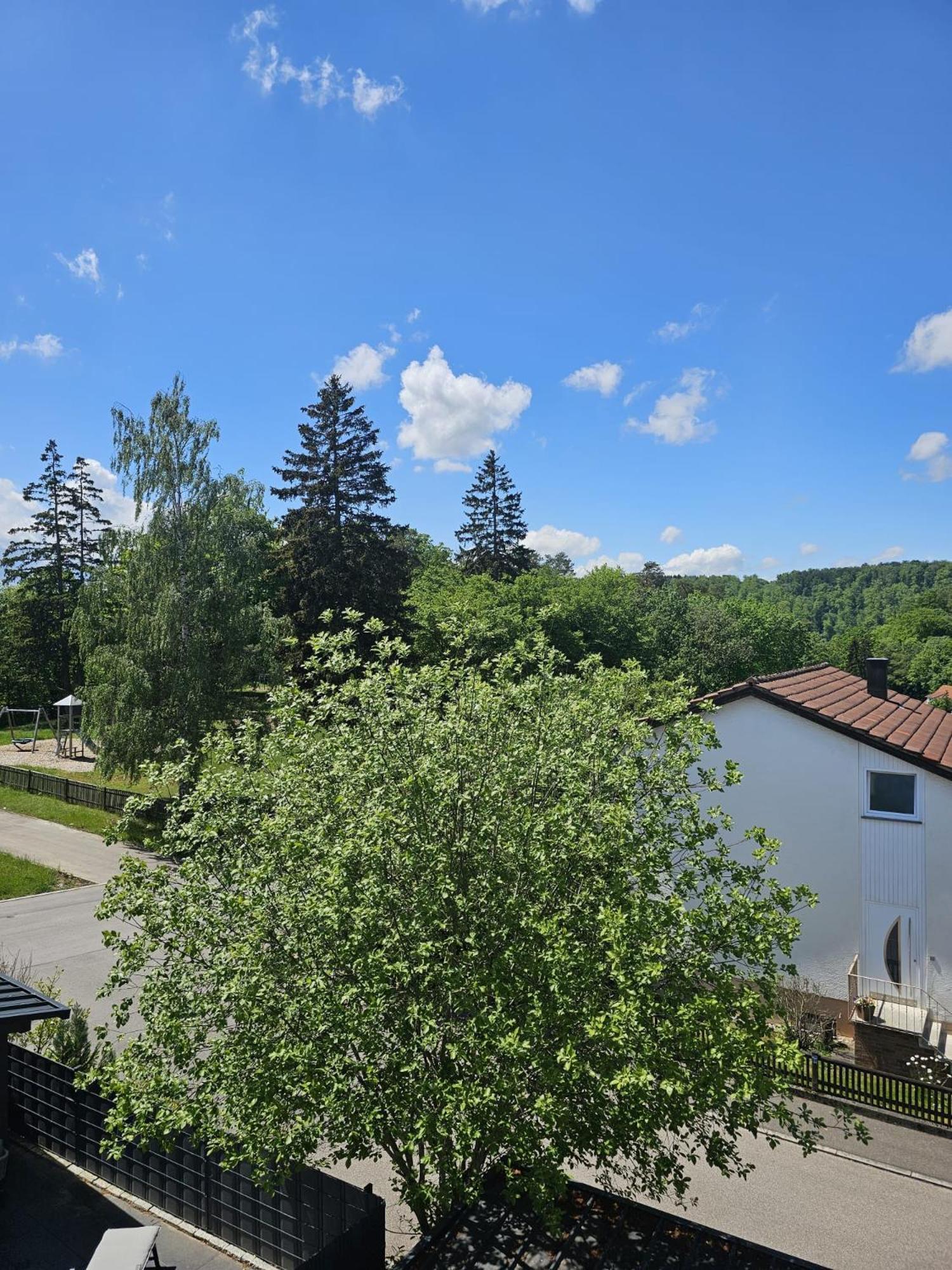 Lions Place Premium Apartments Executive Luxus Penthouse Inklusive Spa Heidenheim an der Brenz Exteriér fotografie